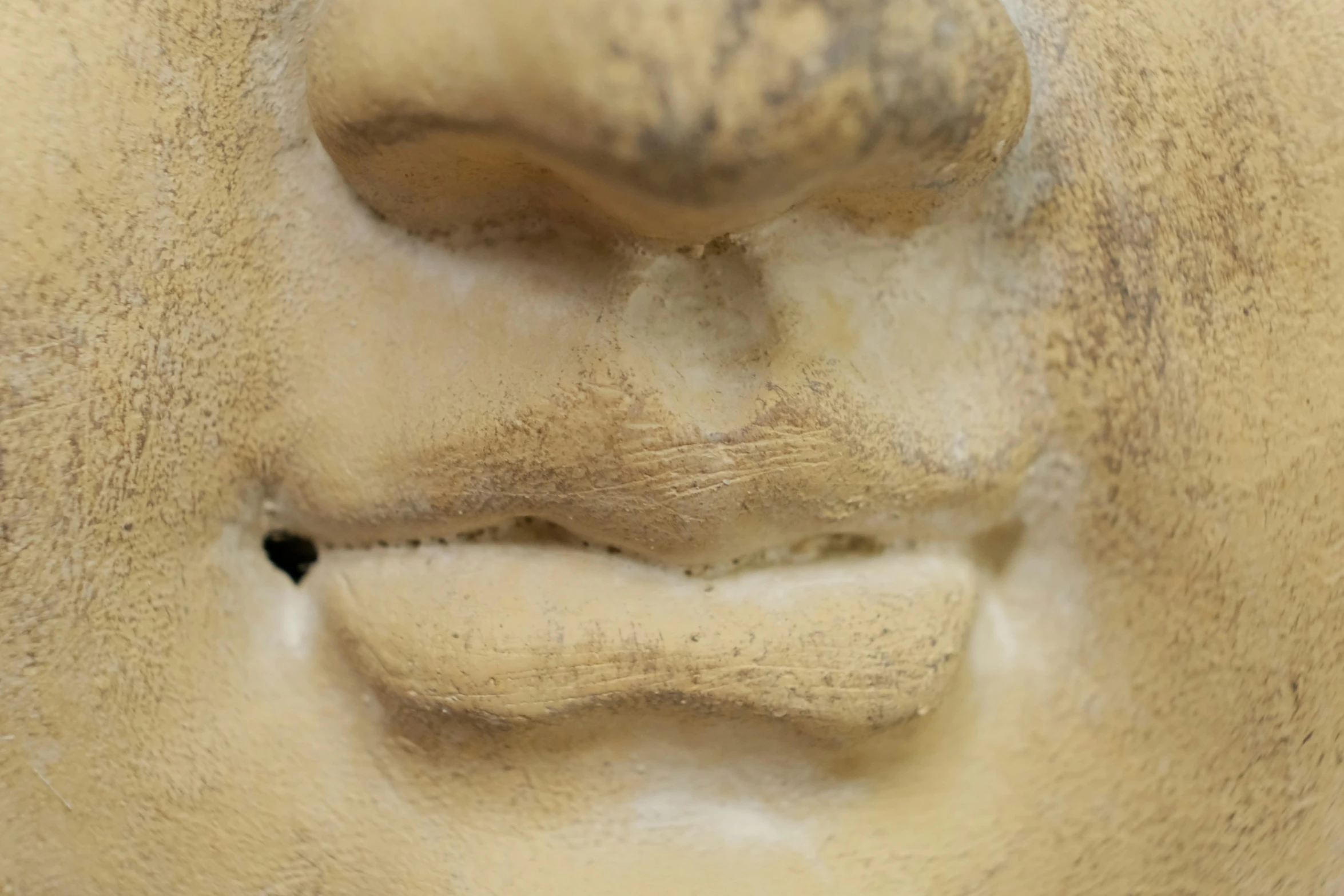 the profile of an old, worn out face