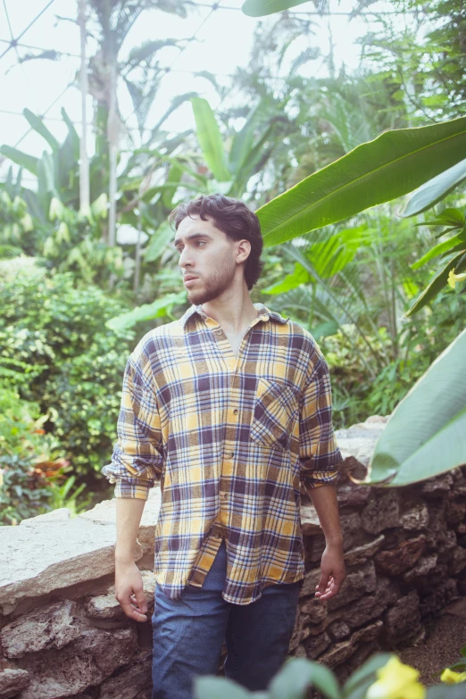 man in plaid shirt walking along stone wall next to green plants