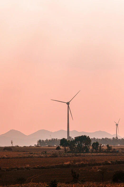 three wind generators in a large grassy area