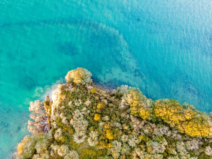 a beach that is surrounded by blue water