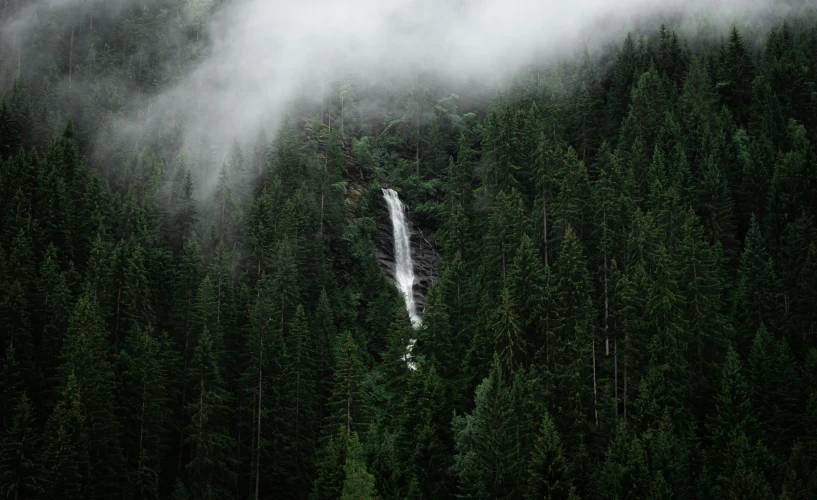 waterfall surrounded by evergreens in the rain