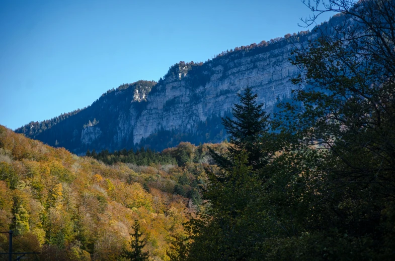 a tall mountainside surrounded by trees in autumn