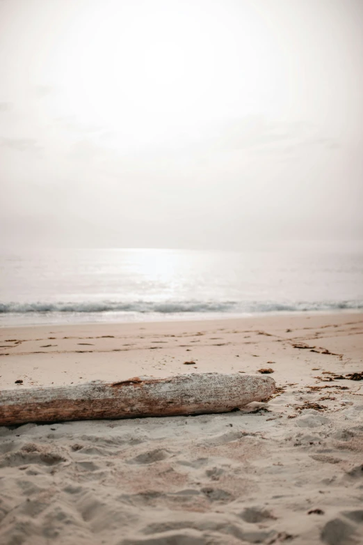 there is a log that has been washed up on the beach