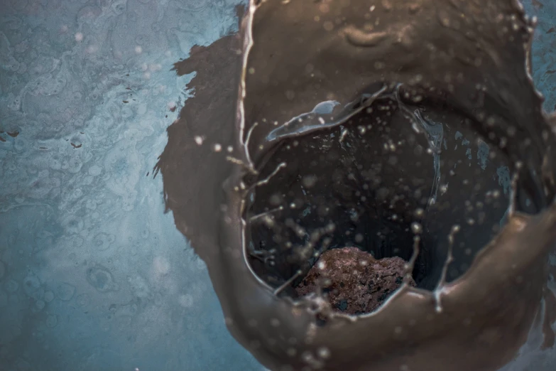 a close up s of a water covered toilet in a pool