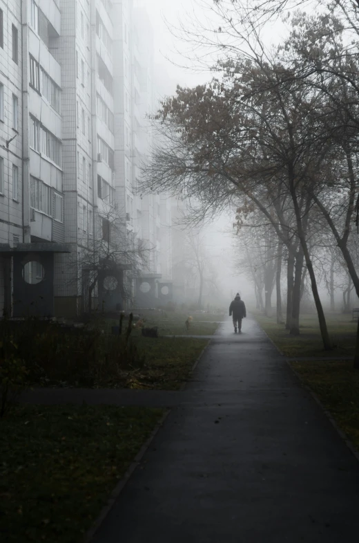 a person walking down a foggy park path