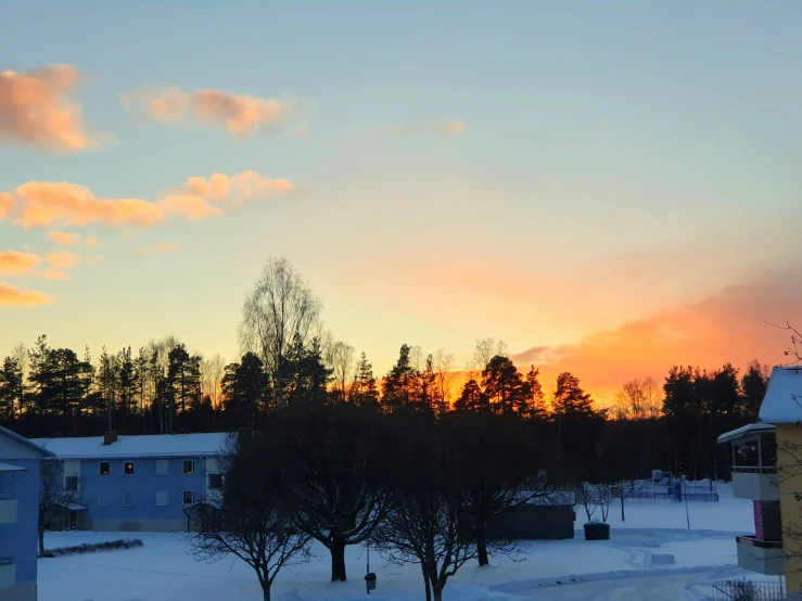 sunset over a snowy field with trees