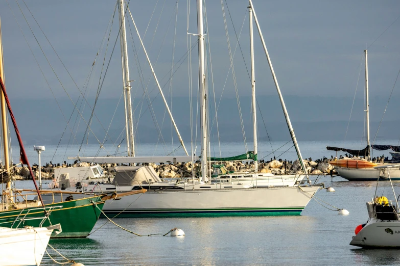 several sailboats in the harbor with sky and clouds