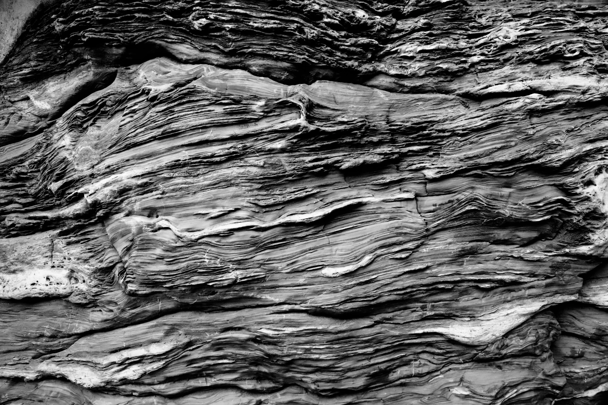 closeup of rocks with a black and white po