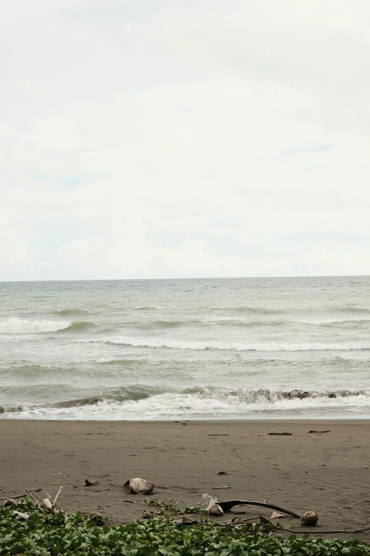 a person walks in the sand on the beach