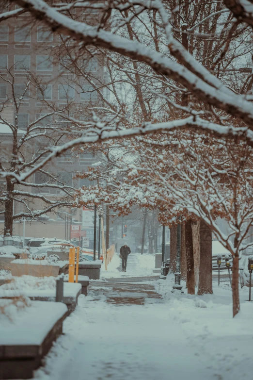 this is a snowy city street and people walk down the sidewalk