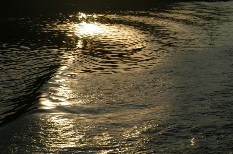 closeup of water with sun reflecting off the surface