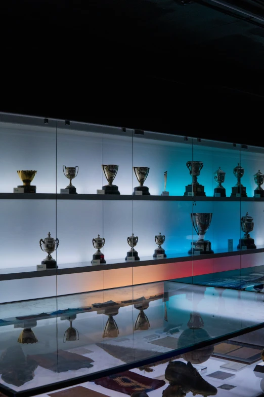 trophies on display behind glass at museum