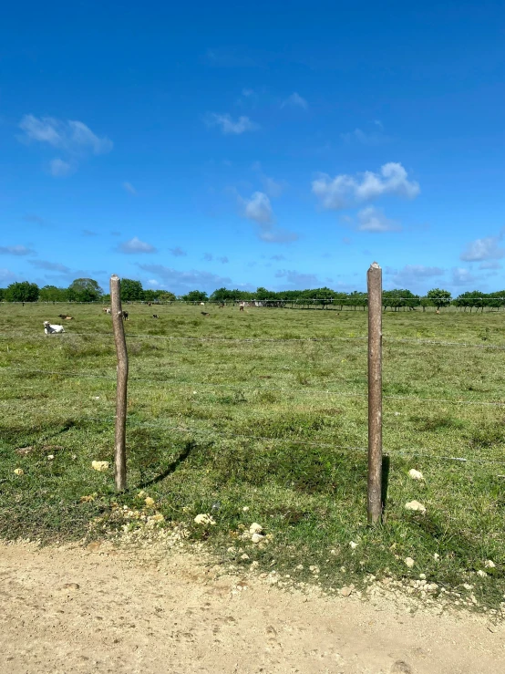 two wooden posts standing in a field with horses