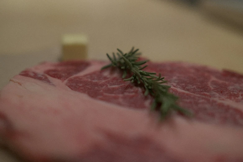 a piece of meat and a small sprig of rosemary