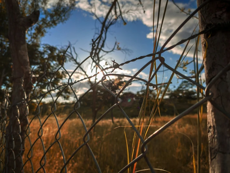 the sun shines through the barbed wire, and onto the ground behind the fence