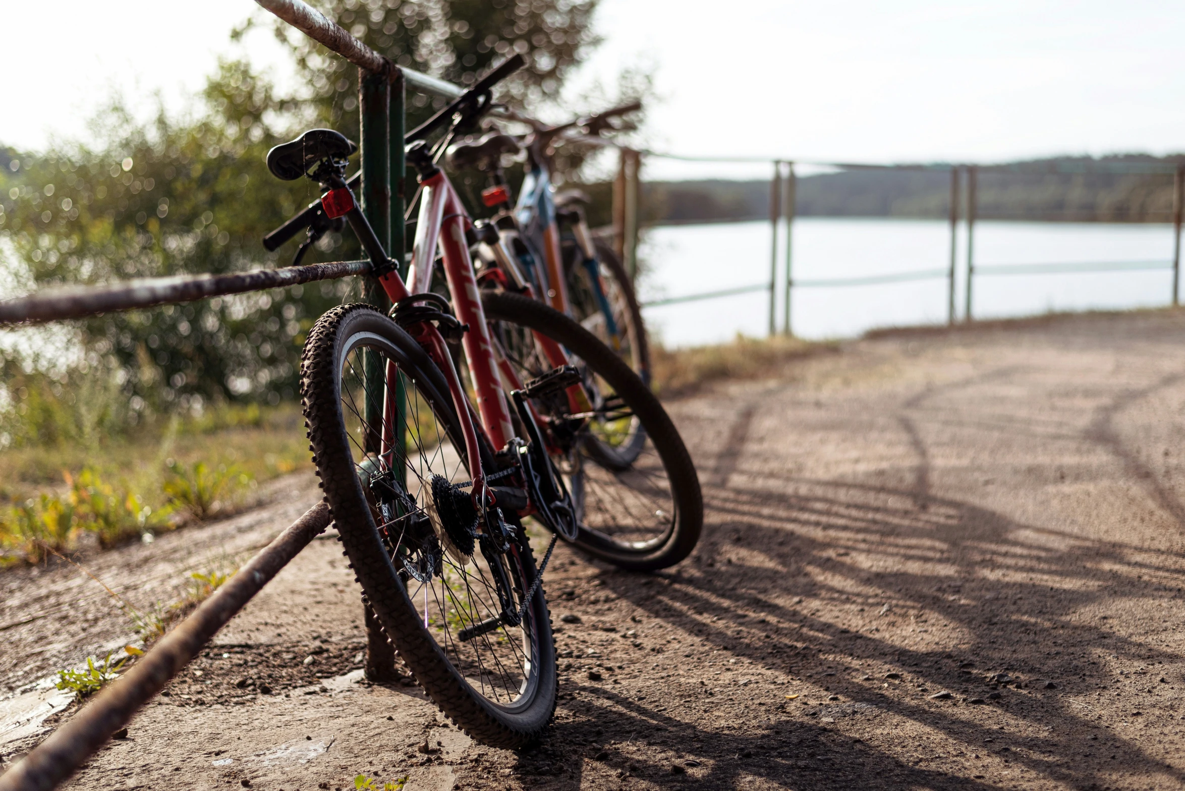 bicycles parked near a metal fence at the edge of a body of water