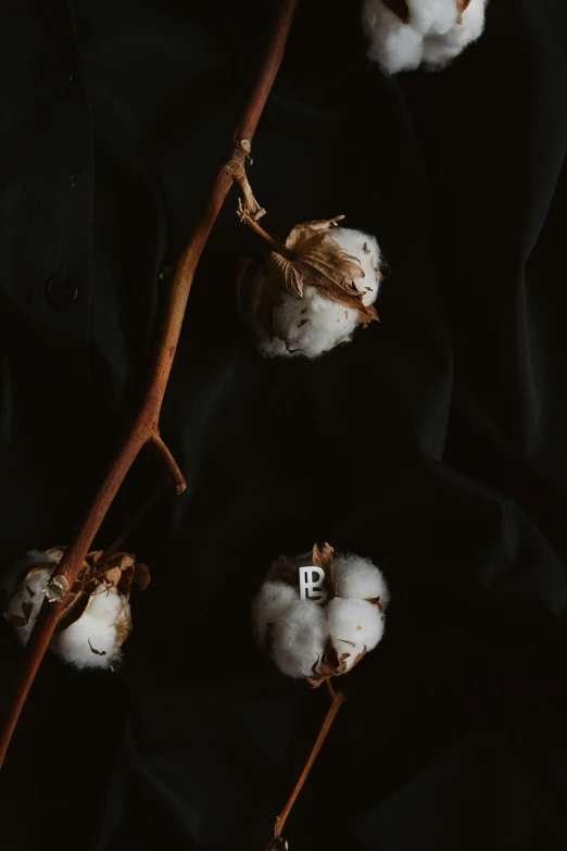 some cotton balls on a twig and a stick