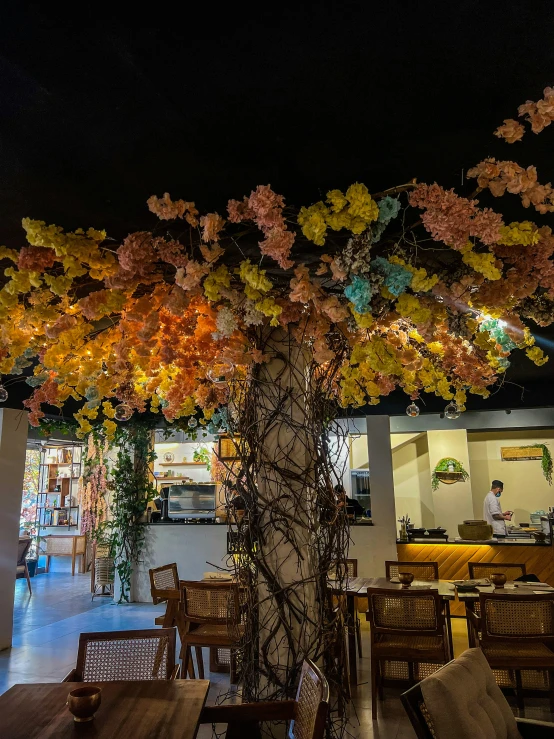 this is the tree in the center of this restaurant