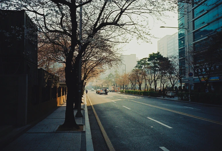 view of a deserted road, with a car parked at the end