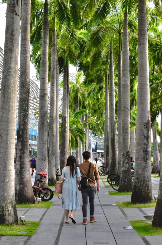 couple walking down palm - lined walkway towards bicycles