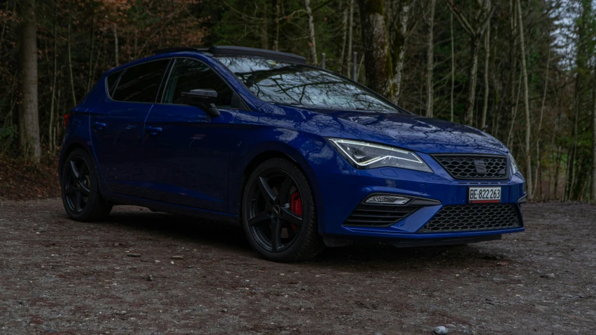 a blue seat leongt stands on a gravel road in front of several trees