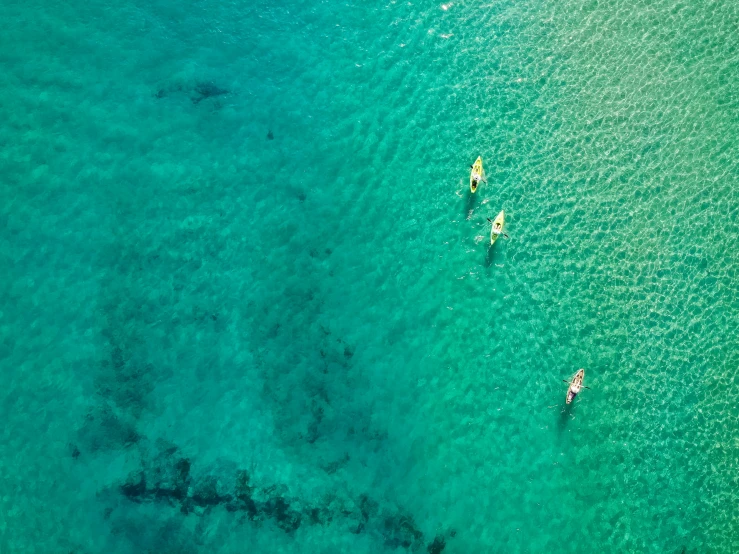 several kayaks on clear blue water looking down on the ocean