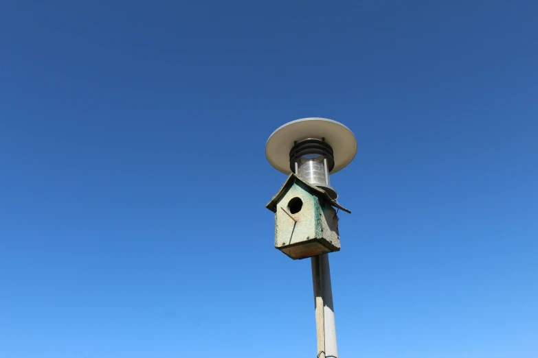 the bird house is mounted to the street lamp post