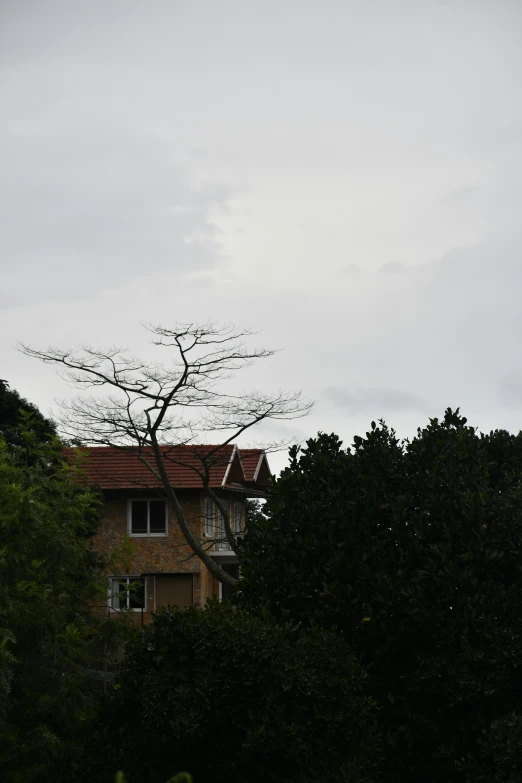 there is an old clock tower and bare tree