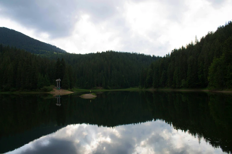 this is a reflection of the forest in a lake