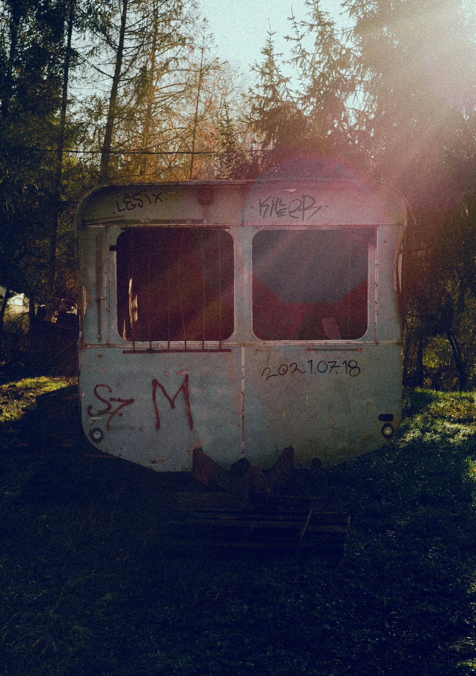 an abandoned train cart in an overgrown field with the sun streaming through