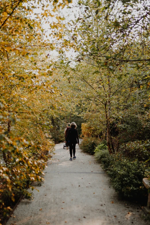 a person walking in the woods with a backpack