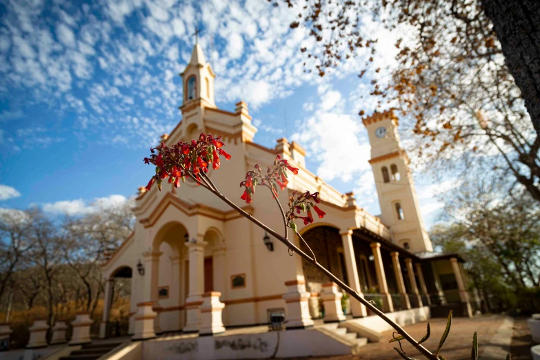 a red flower sits in front of a white building