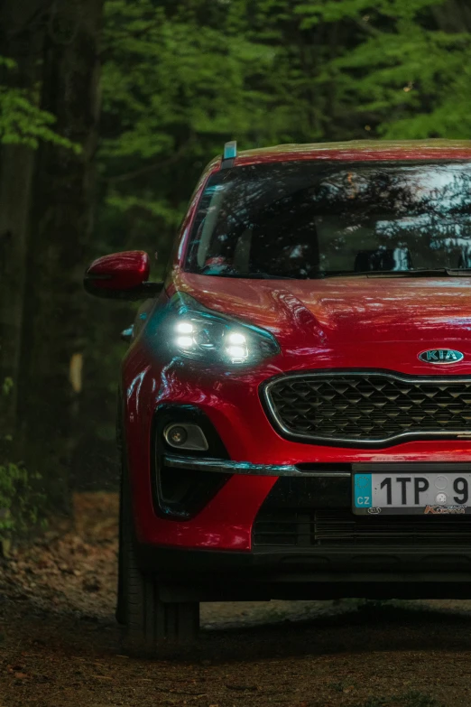 the front view of a red car in a forest