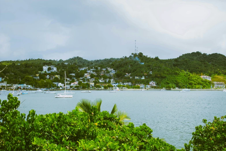 a harbor with a large body of water and boats