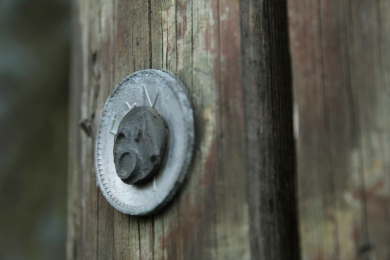 a  mounted on the side of a wooden wall