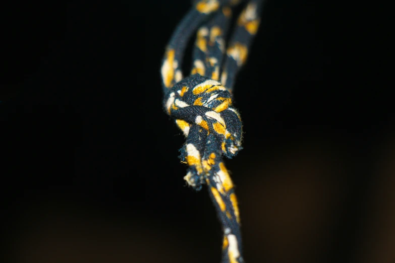 a close up view of a black and yellow patterned rope