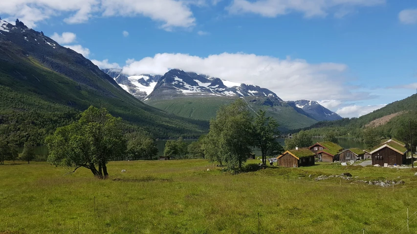 the view of a green landscape with a mountain in the distance