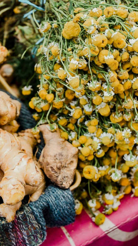 several kinds of vegetable on a table