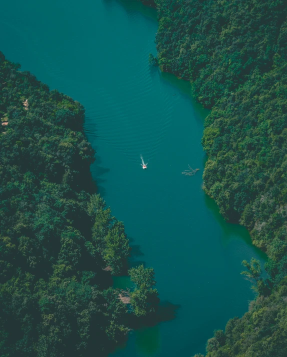 a boat floating along a body of water near lots of trees