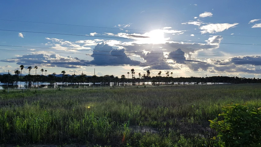 an empty field sits in front of water under power lines