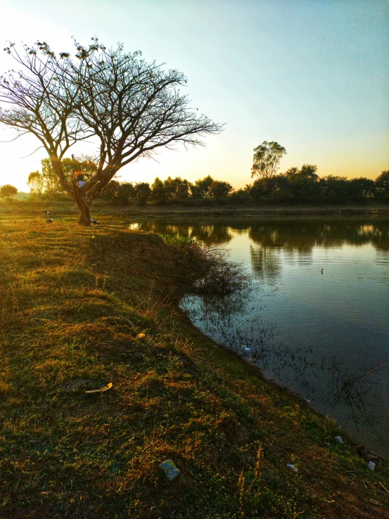 a body of water surrounded by grass and trees