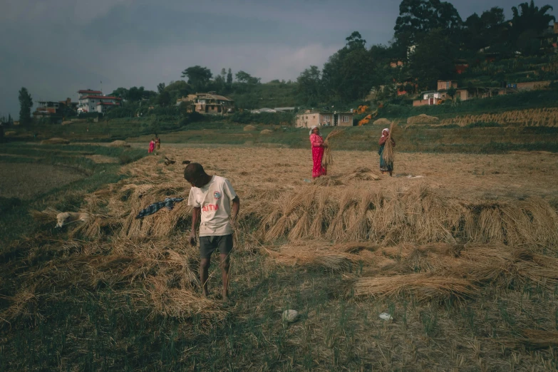 some children in the field with some corn