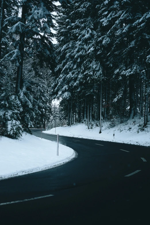 road in dark forest with snowy ground