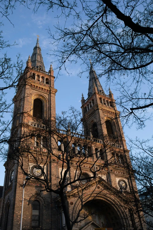 a tall church with two towers surrounded by bare nches