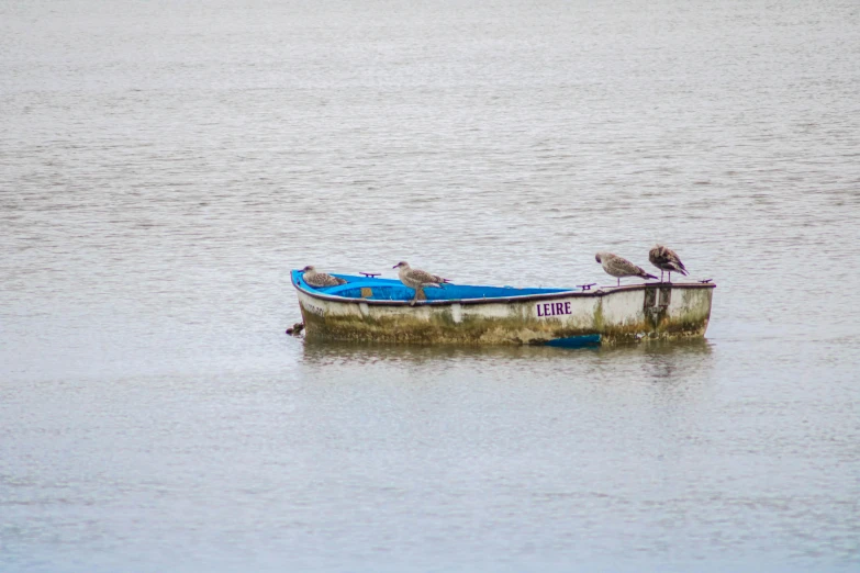 a blue and white boat on the water with some birds perched on top of it