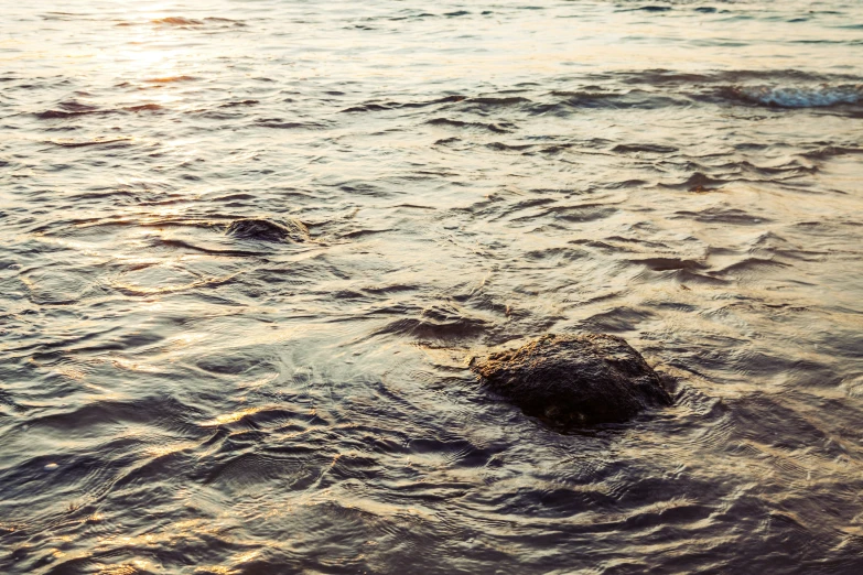 a rock in the middle of the water