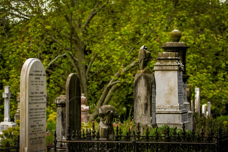 a cemetery filled with graves and trees