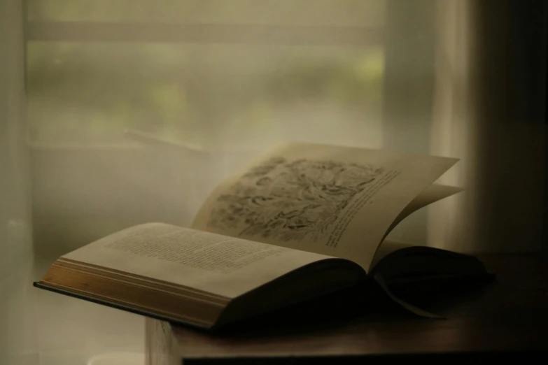 a book is on the table near a window