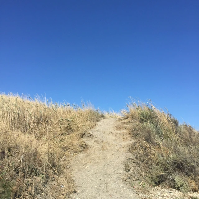 a sign marks the top of a dirt path