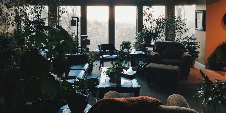 the living room has some plants in it